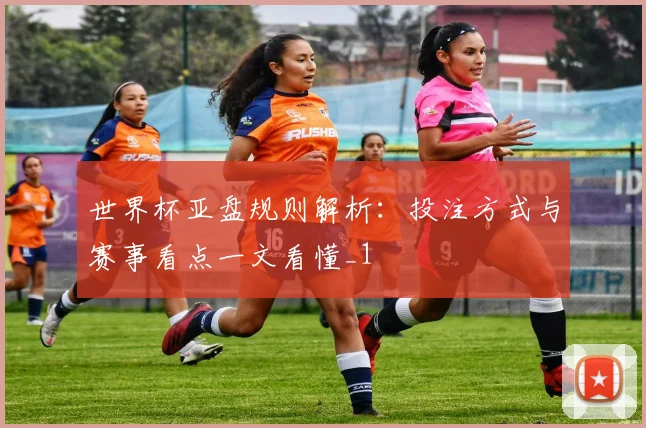 世界杯亚盘规则解析：投注方式与赛事看点一文看懂_1