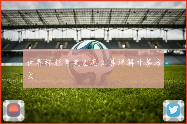 世界杯彩票奖金怎么算详解计算方式