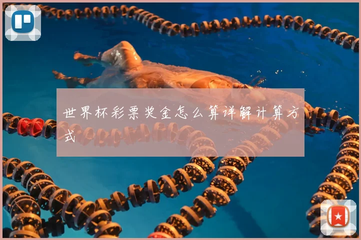 世界杯彩票奖金怎么算详解计算方式