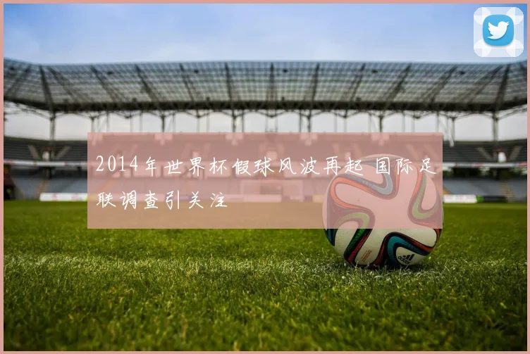 2014年世界杯假球风波再起 国际足联调查引关注