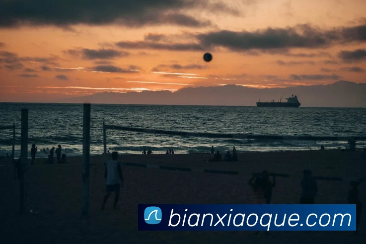 App Interface Preview