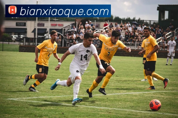 世界杯官网登录appAPP 封面图